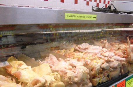 Presidente Piñera por colusión de los pollos: “debe ser condenada con total severidad”