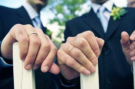 Comisión de Constitución del Senado aprueba la idea de legislar sobre el matrimonio igualitario