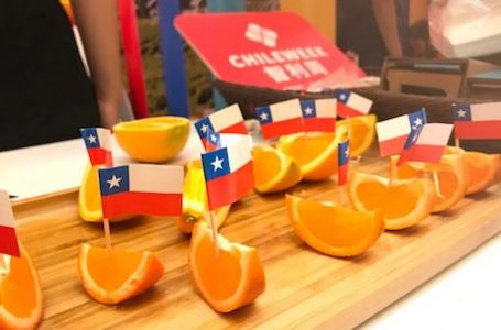 Cítricos chilenos serán degustados por miles de chinos desde el 2020