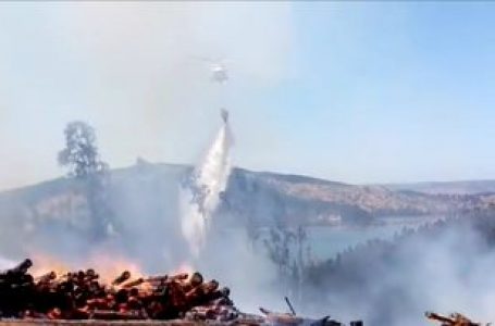Tres alertas vigentes por incendios forestales en Vichuquén, Villa Alegre y San Javier