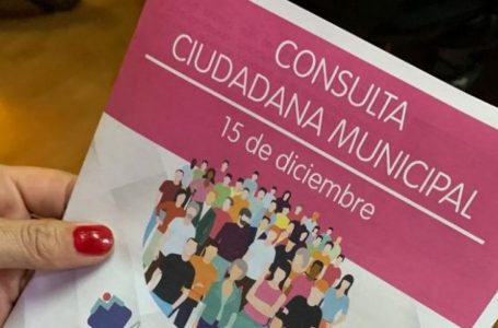 Consulta Ciudadana: en estas comunas maulinas se podrá votar este domingo