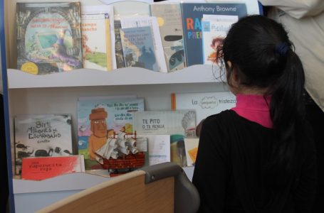 Fondos de Cultura 2020: 64 iniciativas maulinas recibirán recursos 