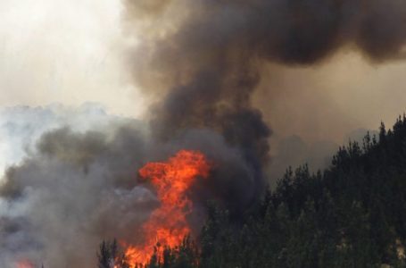 Ordenan al Fisco indemnizar a familiares de brigadistas fallecidos en incendio forestal en Vichuquén