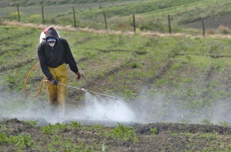 Tras intoxicación por plaguicidas: llaman a intensificar fiscalizaciones 