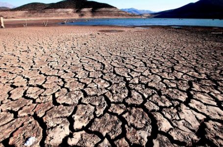 Emergencia hídrica: el 20% de la agricultura frutícola de la zona centro-sur de Chile podría estar en peligro