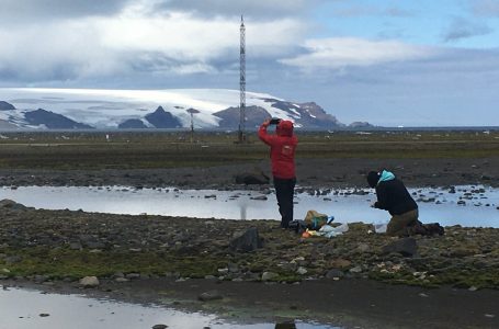 Investigadores maulinos participan en expedición científica en la Antártica