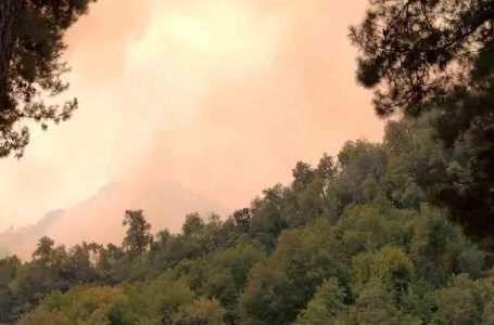 Incendio forestal en Molina arrasa con 5 mil hectáreas y provoca la evacuación preventiva de 150 familias