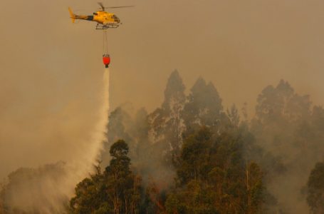 Director nacional de Conaf señala que el incendio de la Reserva Radal 7 Tazas es el más grande de la temporada