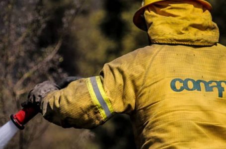 ONEMI declara Alerta Roja para la comuna de Molina por incendio forestal.