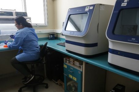 Académicos de la UTalca despejan rumores sobre coronavirus