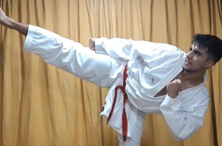 Karatecas maulinos se capacitan con charlas impartidas por sensei internacionales
