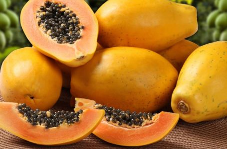 Premio Nobel investiga enzima de la papaya como posible cura para el Covid-19