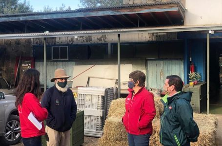 Autoridades visitaron Casa Noé para apoyar campaña de alimentación animal