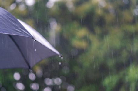 CGE activa plan de acción preventivo por viento y lluvias en región del Maule