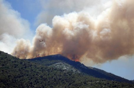 Académicos PUCV: “En Chile no existe política de prevención contra incendios forestales”