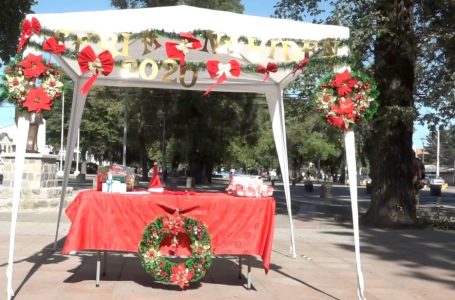 Desde el 14 de diciembre se desarrollará Feria Navideña en Linares