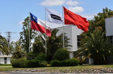 Por segundo año consecutivo: Coexca S.A. es reconocida entre las Mejores Empresas Chilenas