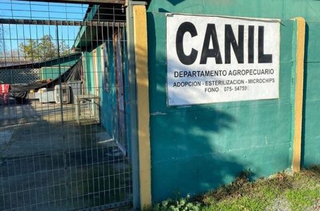 Formalizarán a dos veterinarios por posibles maltratos en el canil municipal de Curicó