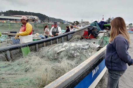 Sernapesca Maule invita a pescadores a promocionar sus recursos en el nuevo portal Caleta en Línea