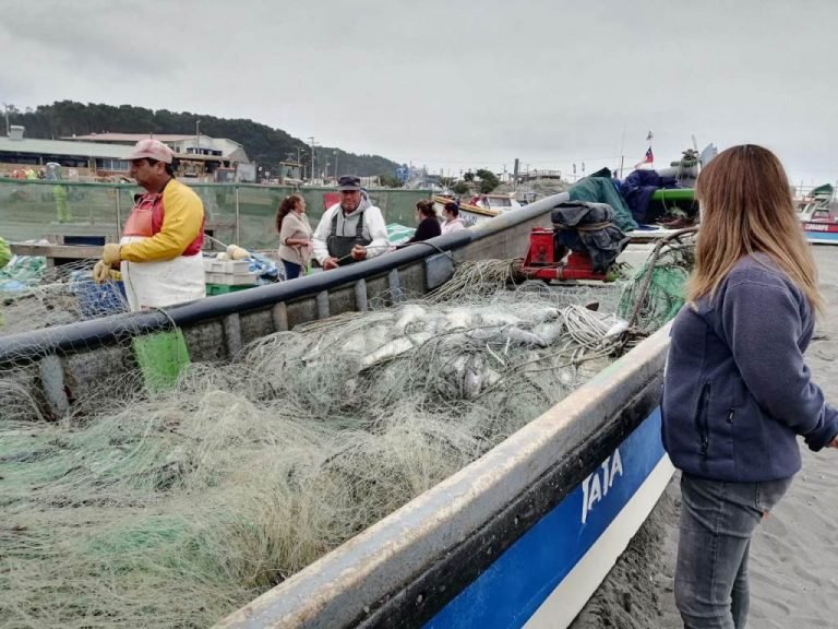 Sernapesca Maule Invita A Pescadores A Promocionar Sus Recursos En El Nuevo Portal Caleta En 6785