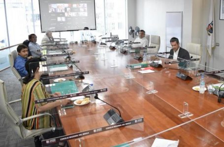 CORE aprobó mil millones de pesos para reactivar la economía del Maule