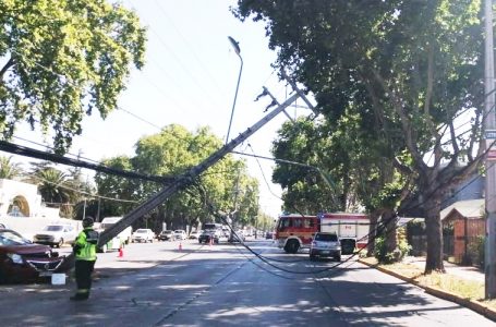 Más de 520 mil clientes han sufrido interrupciones de suministro eléctrico por postes chocados este año