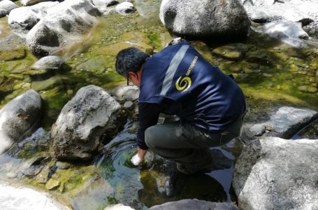 Sernapesca Maule ejecuta plan de trabajo para evitar propagación de la microalga didymo
