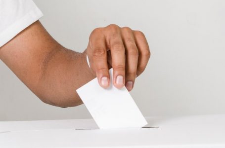 Epidemiólogos UTalca llaman a votar de manera segura
