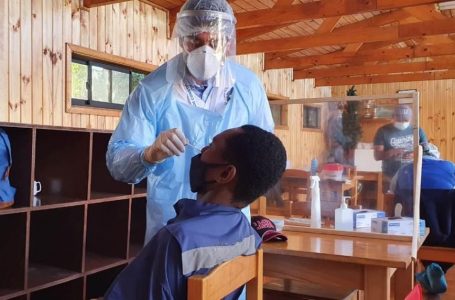 Sector forestal maulino fortalece trabajo y extrema medidas ante el Covid-19 