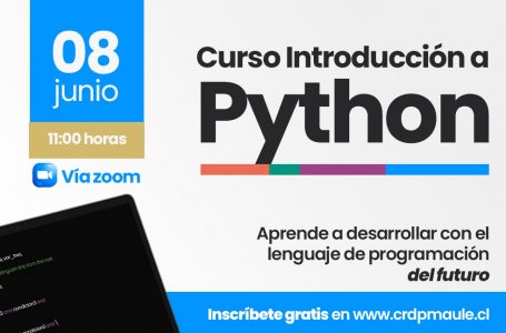 CRDP Maule imparte curso para que pymes y estudiantes apliquen el lenguaje de programación en sus proyectos digitales