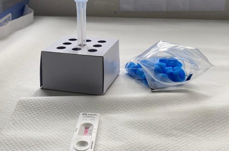 Seremi de Salud implementa test de antígeno en Paso Pehuenche