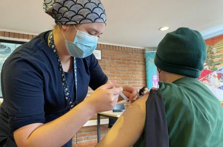Vacunación Covid-19: continúa destacada estrategia para inocular a trabajadores de frutícolas en Curicó