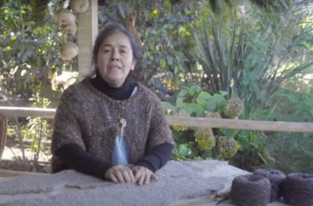 Artesana maulina participa en tutoriales que enseñan a tejer
