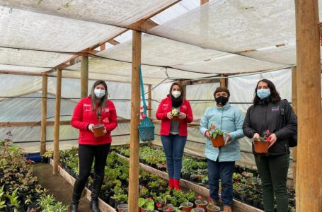 Mujeres rurales de Paso Nevado cuentan con moderno sistema de riego en sus invernaderos