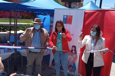 SernamEG Maule y Municipio de Talca lanza Primera Feria con foco en la mujer jefa de hogar