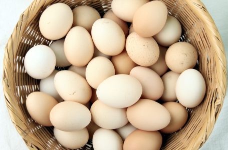 Día Mundial del Huevo: 76% de los chilenos apoyaría que se prohíba a las compañías mantener a  las gallinas en jaulas