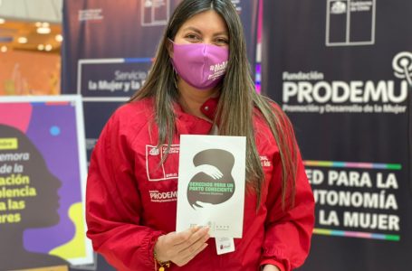 Autoridades llaman a sumar fuerzas para erradicar la violencia contra la mujer en el Maule