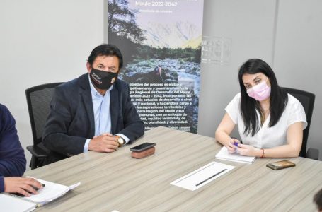 Gobierno Regional del Maule apoyará al movimiento “No a la Termoeléctrica de Parral”