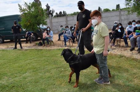 Canes adiestrados de Gendarmería se lucieron en presentación por Facebook live