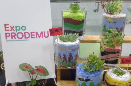 Emprendedoras de la región ofrecen sus productos en Expo Prodemu en Mall Portal Centro