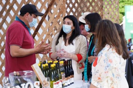 Expo Descubre el Maule: invitan a visitar diversos espacios en apoyo a la reactivación de las pymes y el turismo