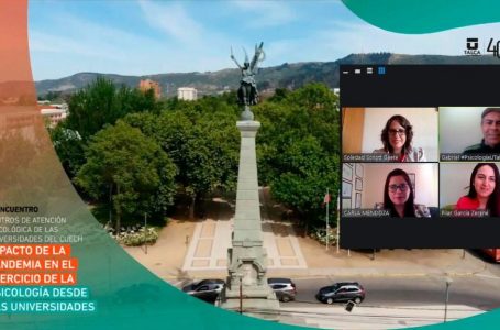 Investigación académica: Buscan favorecer salud mental de maulinos mediante desarrollo tecnológico