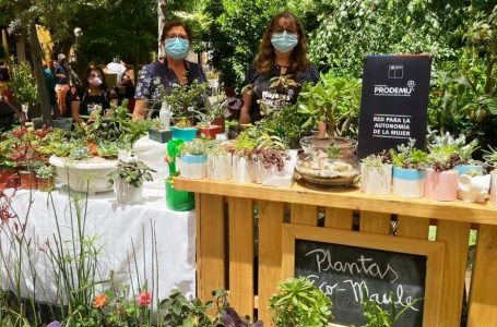 Con éxito se desarrolló Expo Prodemu en Talca en la que participaron mujeres rurales de toda la región
