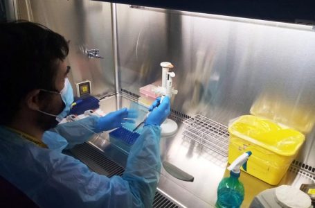 Los tres laboratorios de PCR incrementaron capacidad de procesamiento en la región