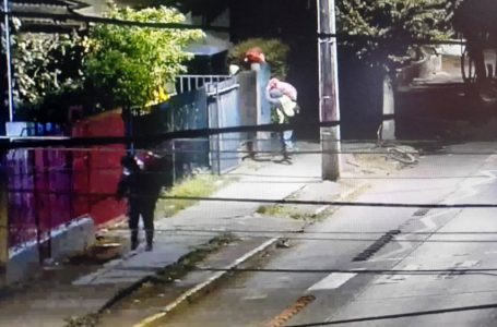 Nueva cámara de teleprotección de Doctor Osorio permitió la detención de dos antisociales en Curicó
