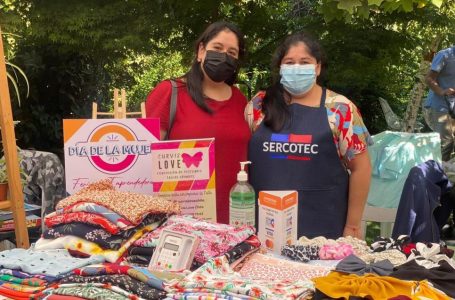 Expo Mujer Maulina reunirá a 25 emprendedoras de la región