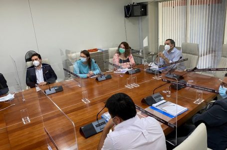 Gobernadora Cristina Bravo se reúne con nuevos consejeros regionales