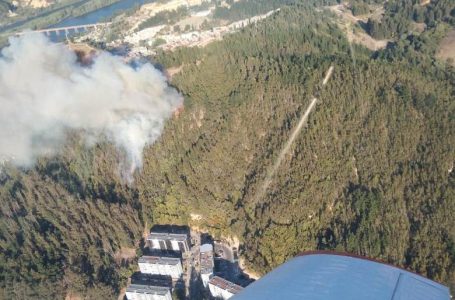 Se cancela Alerta Roja y declara Alerta Amarilla para la comuna de Constitución por incendio forestal