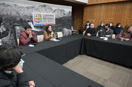 Avanzan procesos administrativos para concretar la ejecución de los hospitales en el Maule