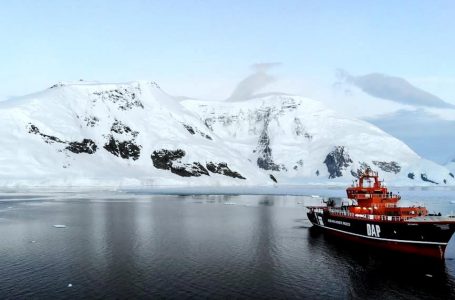 Campaña marítima investigó genética de pingüinos, ecología de moluscos y huella de carbono negro en la Antártica